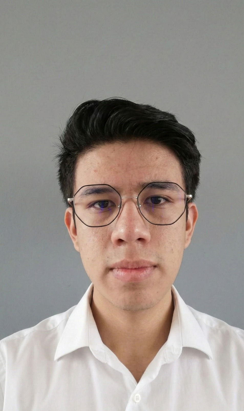 Hugo A. Sanchez Ramos